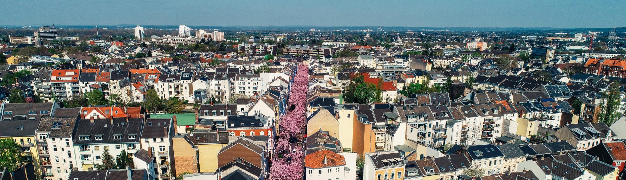 Luftbild auf Bonner Altstadt